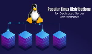 Popular Linux Distributions for Dedicated Server Environments